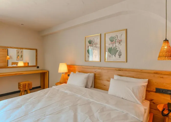 云萨尔酒店 酒店