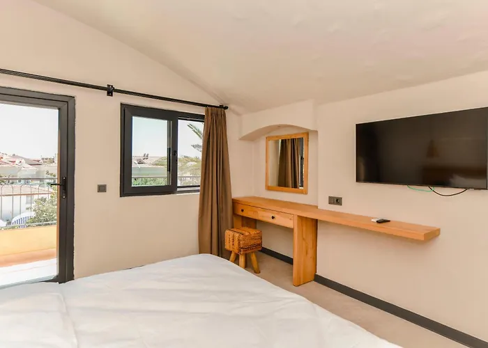 Unsal אולודניץ